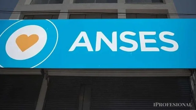 El programa permite realizar gestiones previsionales y de asignaciones familiares directamente en el lugar de trabajo. La act