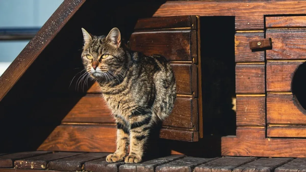 Puerta inteligente para mascotas con sensor de reconocimiento automático