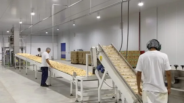 Fábrica de Kellogg's con trabajadores en la puerta y carteles de protesta sindical