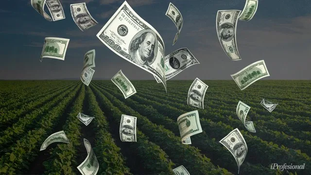La cadena agroindustrial creció 17,1% interanual y generó un récord de divisas en 2026. Analizamos qué productos impulsaron e