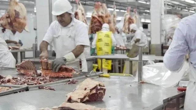 Frigorífico industrial con operarios y controles sanitarios en planta de faena